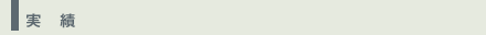 実績